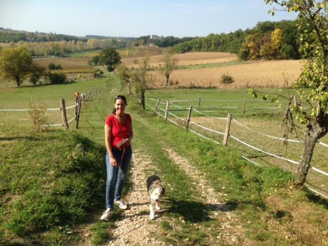 Fayssac Puechblanc Gites Et Chambre D'Hote Dans Le Triangle D'Or Gaillac-Albi-Cordes Sur Ciel מראה חיצוני תמונה