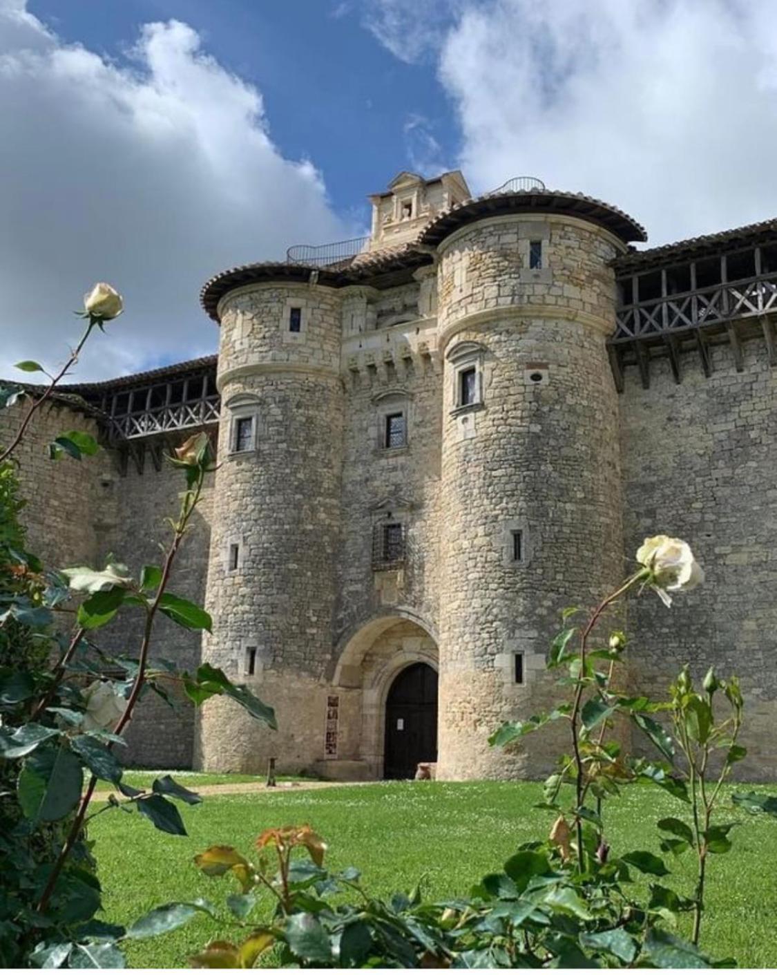 Fayssac Puechblanc Gites Et Chambre D'Hote Dans Le Triangle D'Or Gaillac-Albi-Cordes Sur Ciel מראה חיצוני תמונה