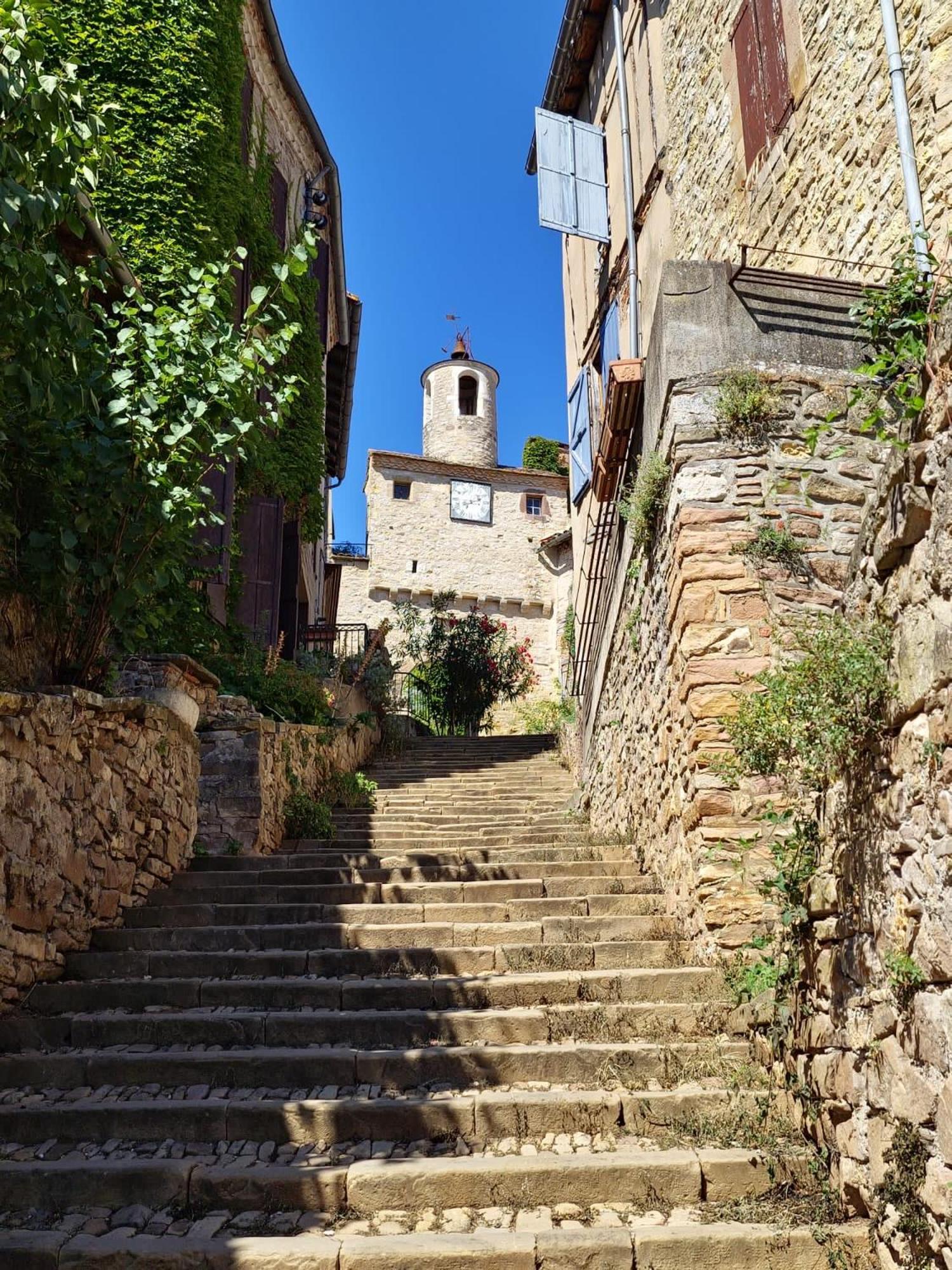Fayssac Puechblanc Gites Et Chambre D'Hote Dans Le Triangle D'Or Gaillac-Albi-Cordes Sur Ciel מראה חיצוני תמונה