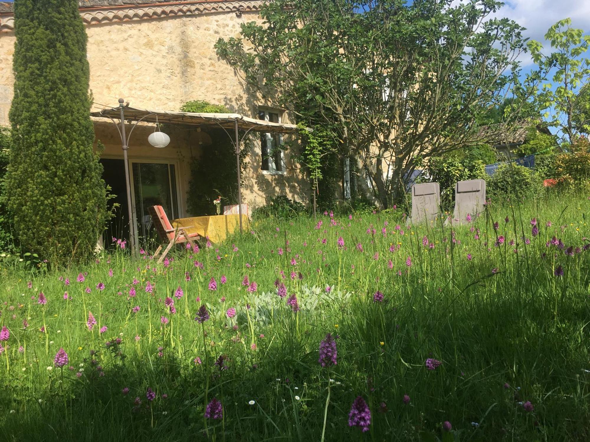Fayssac Puechblanc Gites Et Chambre D'Hote Dans Le Triangle D'Or Gaillac-Albi-Cordes Sur Ciel מראה חיצוני תמונה