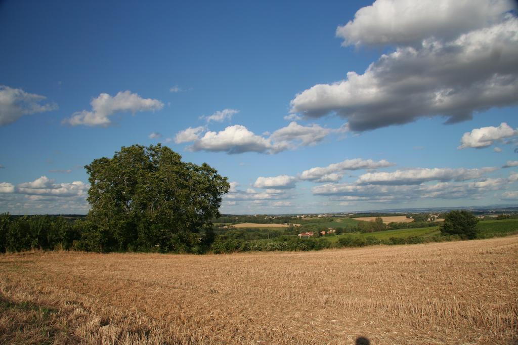 Fayssac Puechblanc Gites Et Chambre D'Hote Dans Le Triangle D'Or Gaillac-Albi-Cordes Sur Ciel מראה חיצוני תמונה