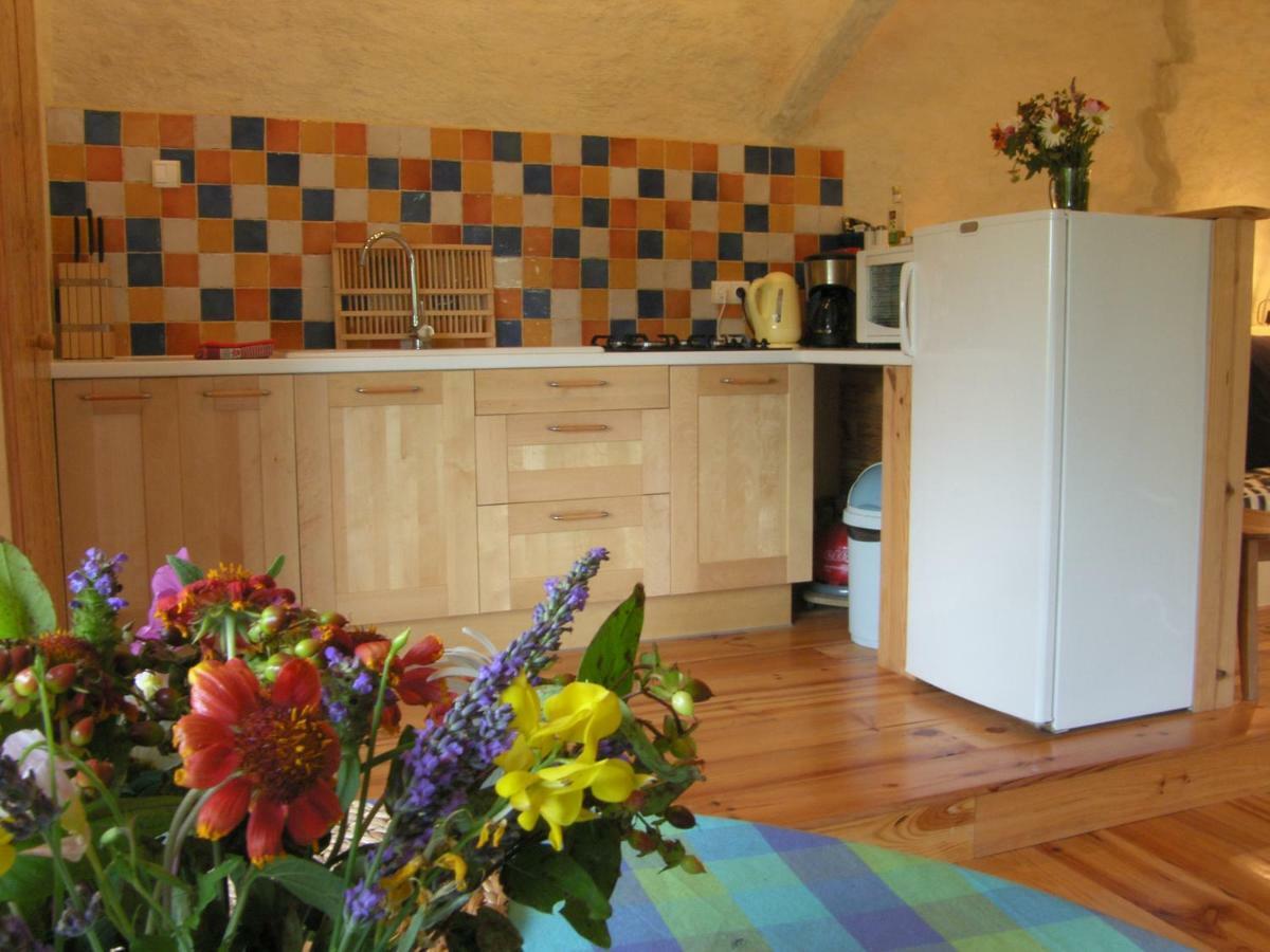 Fayssac Puechblanc Gites Et Chambre D'Hote Dans Le Triangle D'Or Gaillac-Albi-Cordes Sur Ciel מראה חיצוני תמונה